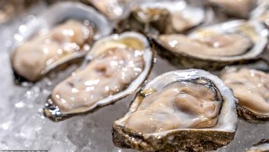 Texas man in 30s dies from flesh-eating bacteria infection from oyster