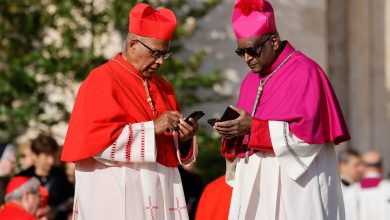 Pope Francis creates 21 new cardinals who will help him to reform the church and cement his legacy