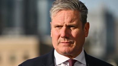 Labour ‘does not want to diverge’ from EU guidelines, says Keir Starmer