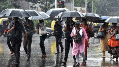 IMD’s Rainy Canvas! Alert issued for India until September 15, Know latest forecast here