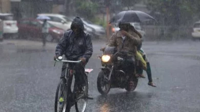 Heavy rainfall to lash THESE states, know full IMD forecast here