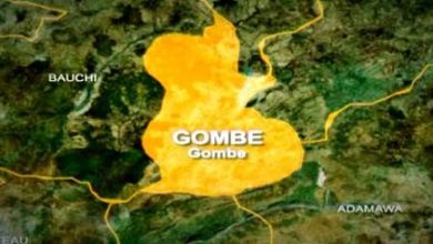 Police Probe Murder Of 58-year-old Woman In Gombe