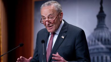 Protesters arrested outside Schumer’s NYC apartment as he has Shabbat dinner with family ahead of Israel trip