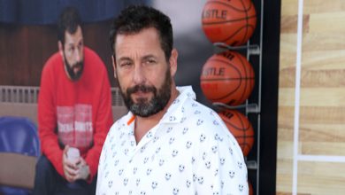 Adam Sandler Stops Show to Help Audience Member With Medical Emergency