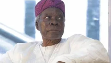 How Sunday Igboho Got His Freedom — Prof Akintoye