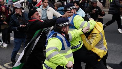 Far-right protesters goal police and storm Cenotaph Remembrance occasion