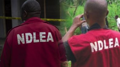 Why Our Operatives Are Conducting Stop-and-search At Lekki — NDLEA