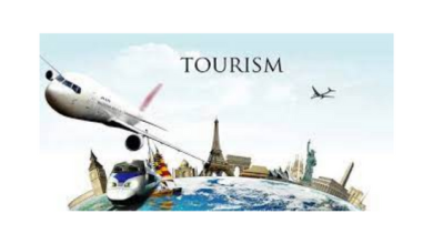 FG Urged To Harness Tourism Potential