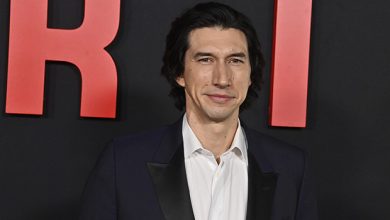Adam Driver Gushes Over New Baby After He Secretly Welcomes Daughter With Wife Joanne Tucker